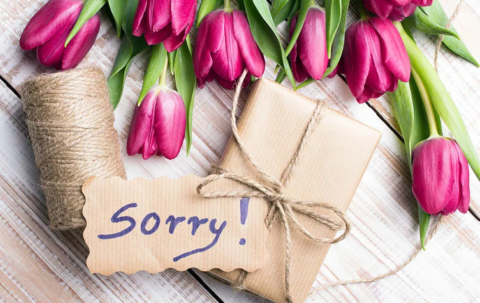 the-art-of-apology-bouquets